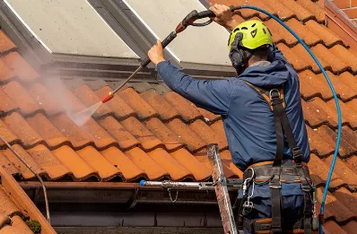 Démoussage et hydrofuge de toiture à Borgo